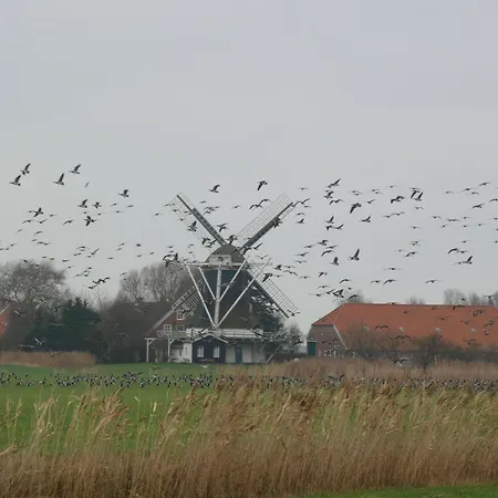 Lägenhet Nord *